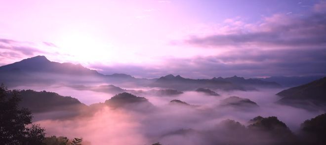 网红李子柒有多少粉丝__网红李子柒的启示