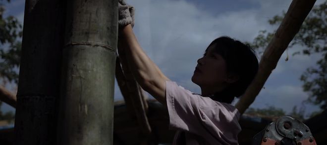 网红李子柒有多少粉丝_网红李子柒的启示_