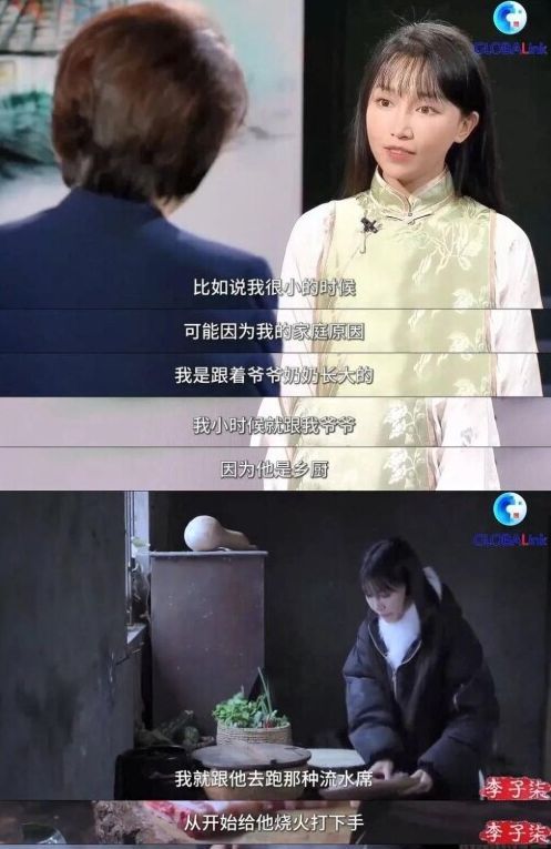 _网红李子柒的启示_网红李子柒有多少粉丝