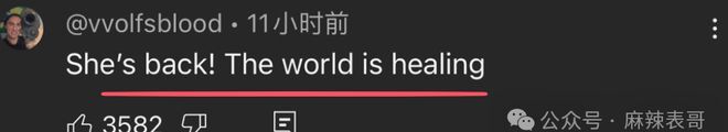 网红李子柒有多少粉丝__网红李子柒的启示