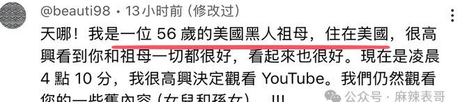网红李子柒有多少粉丝_网红李子柒的启示_