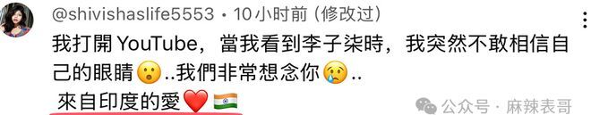 网红李子柒的启示_网红李子柒有多少粉丝_