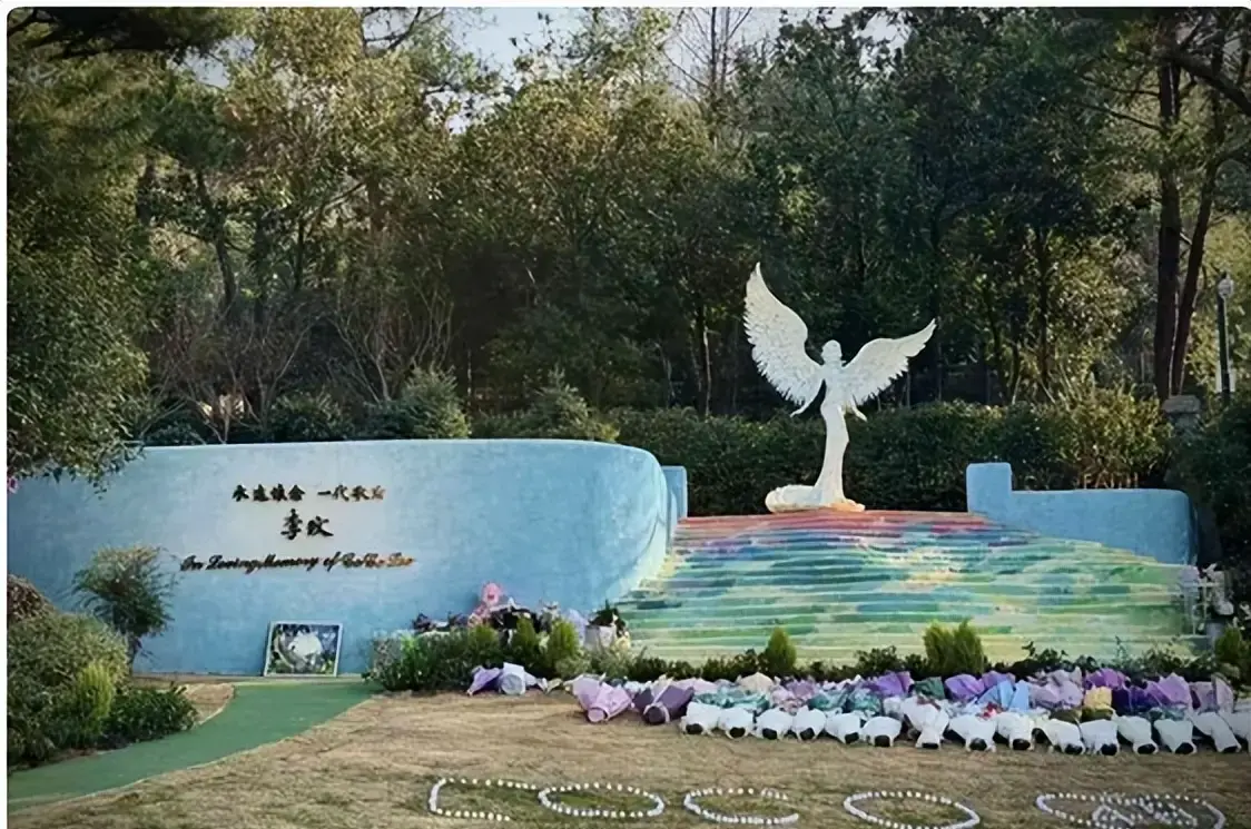 _黄家驹墓地鲜花_墓地之花是什么花