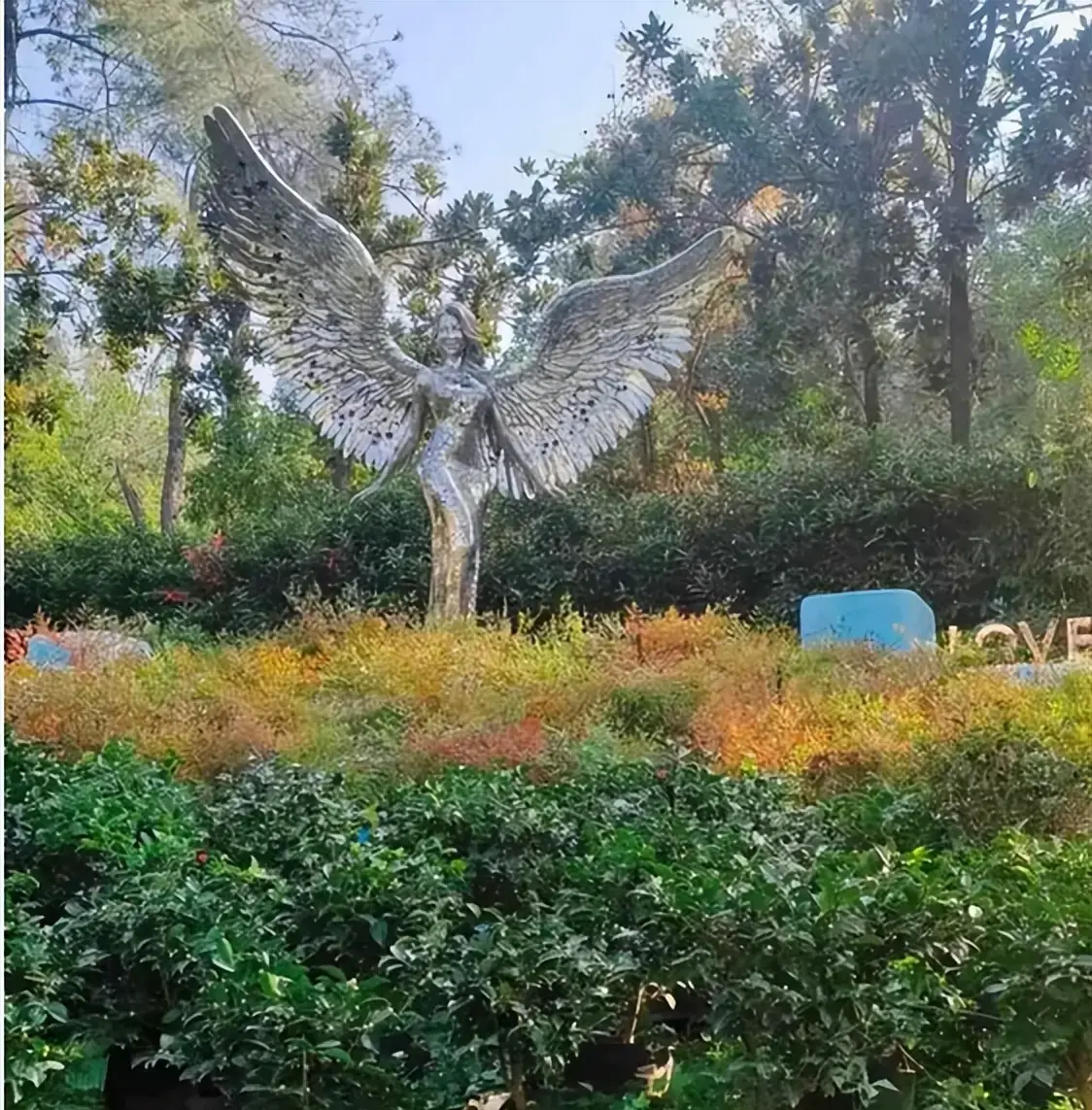 墓地之花是什么花__黄家驹墓地鲜花