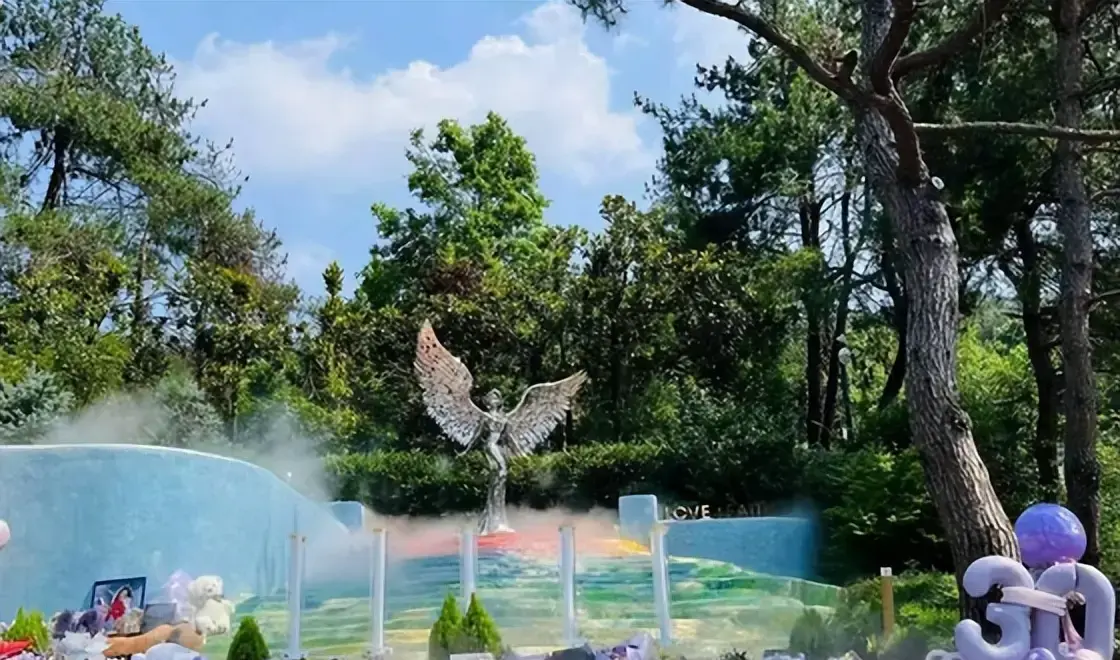 _墓地之花是什么花_黄家驹墓地鲜花