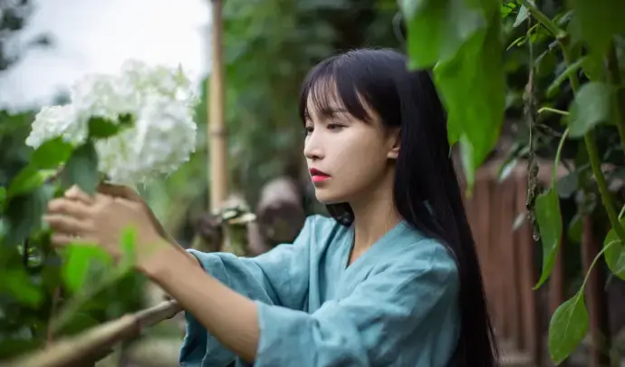 _美拍上的李子柒太假_李子柒是怎么赚钱的