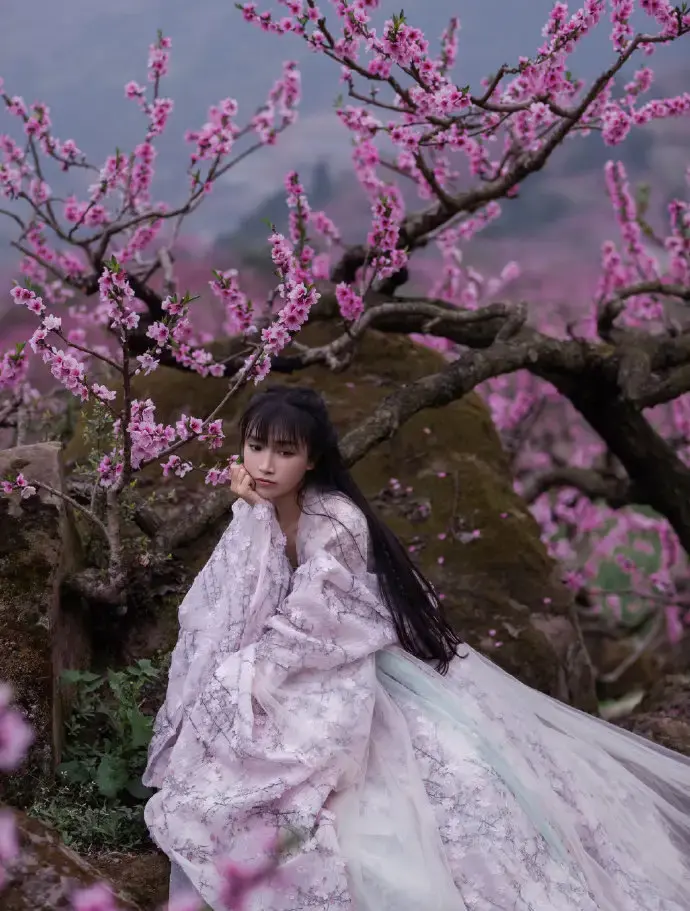 李子柒是怎么赚钱的__美拍上的李子柒太假