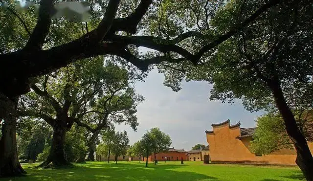 赣州秋季最美风景__自然探秘狂野的亚马逊丛林下