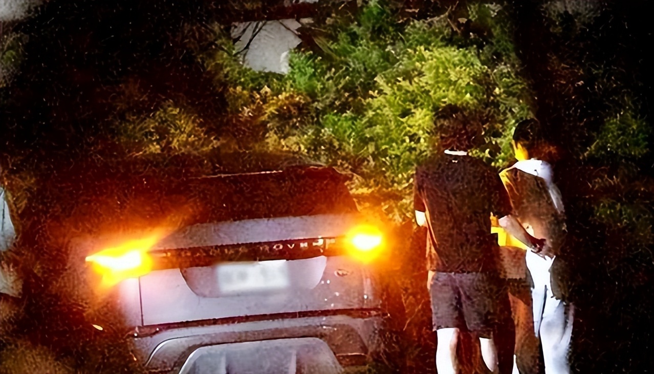 36岁宅男女神恋上洋老外，十指紧扣会友聚餐，饭后骑单车同回别墅_36岁宅男女神恋上洋老外，十指紧扣会友聚餐，饭后骑单车同回别墅_