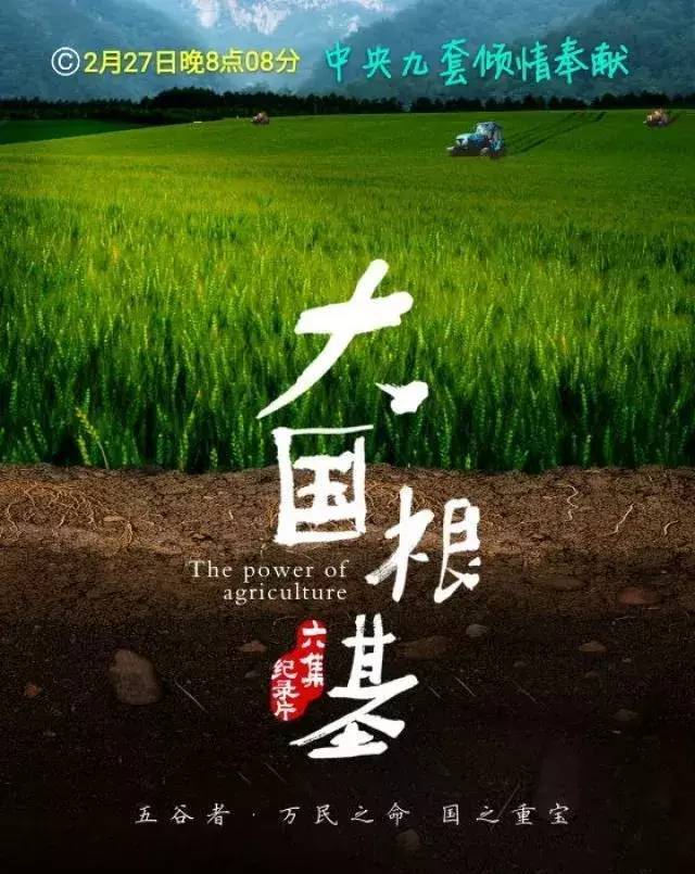 明晚开播！央视力荐，于和伟、靳东主演，演员阵容雄厚，能火_明晚开播！央视力荐，于和伟、靳东主演，演员阵容雄厚，能火_
