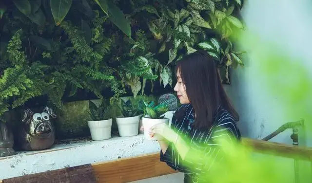 人到中年女人_一个中年女人有哪些特征_