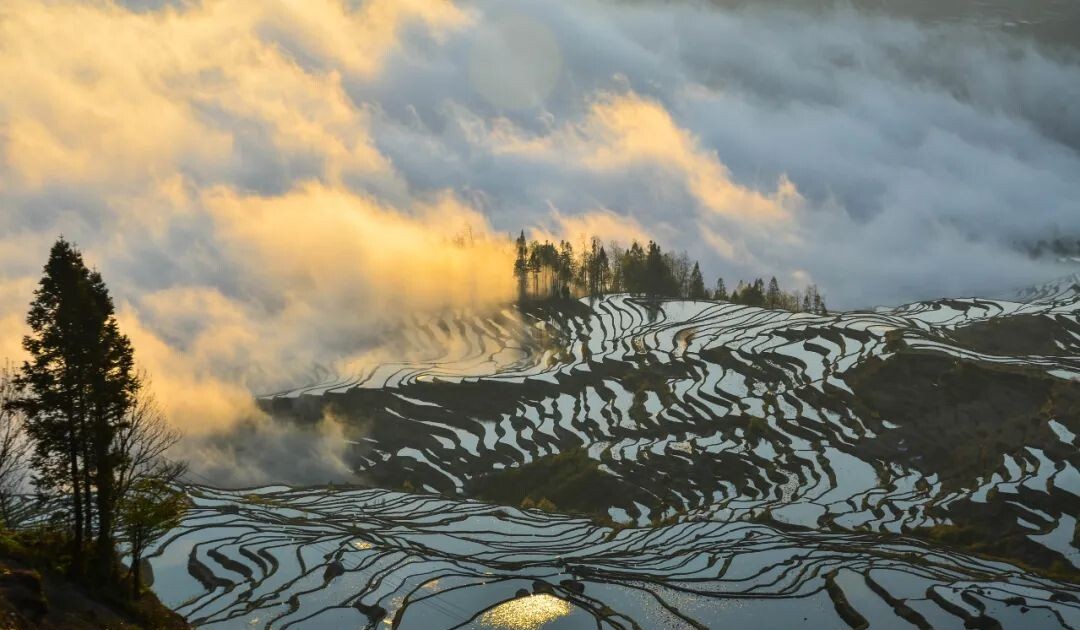 云南越南交界的地方__越南接壤云南哪里