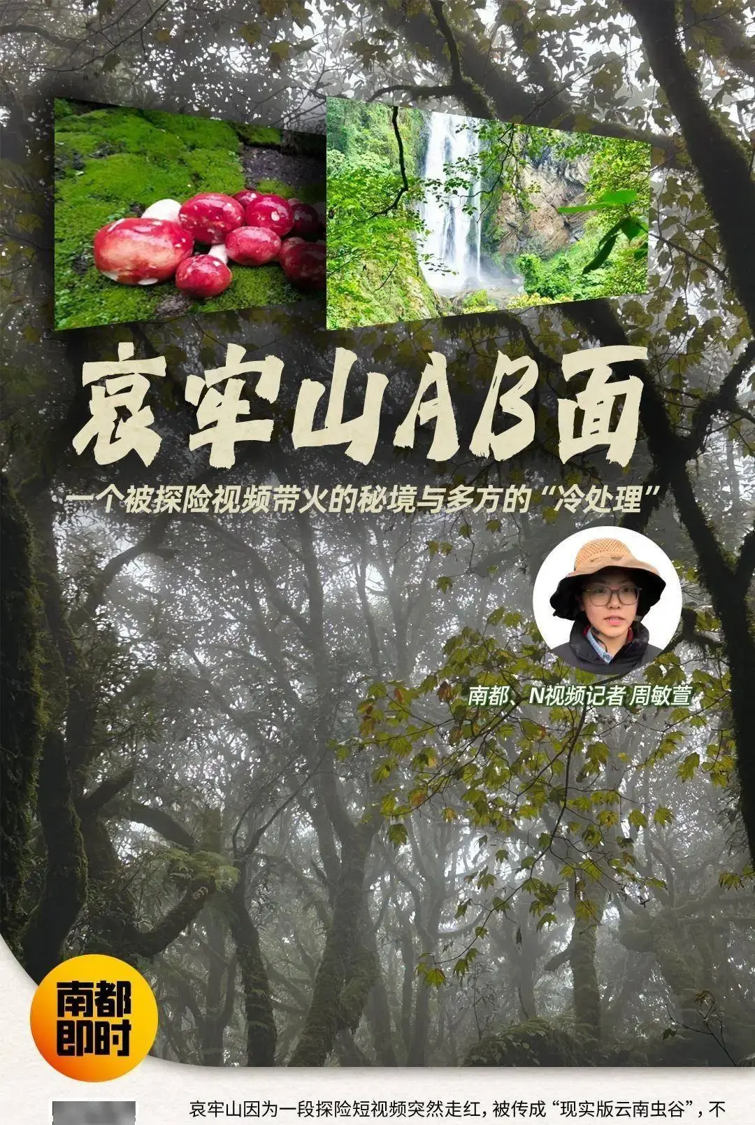 _力导向图属于什么可视化_力导向图算法基础